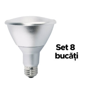 Bec LED E27 13W - 3000K