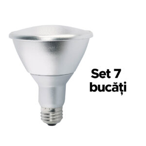 Bec LED E27 13W - 4000K
