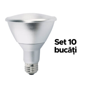 Bec LED E27 13W - 6500K