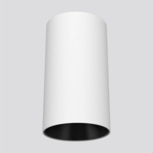 Spot aplicat negru de interior D80MM*H150MM